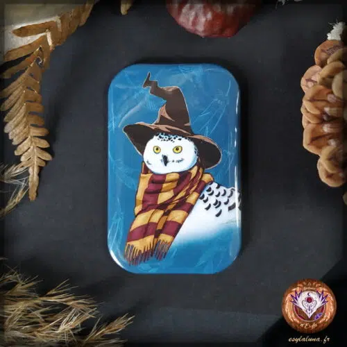 Chouette sorcière Magnets