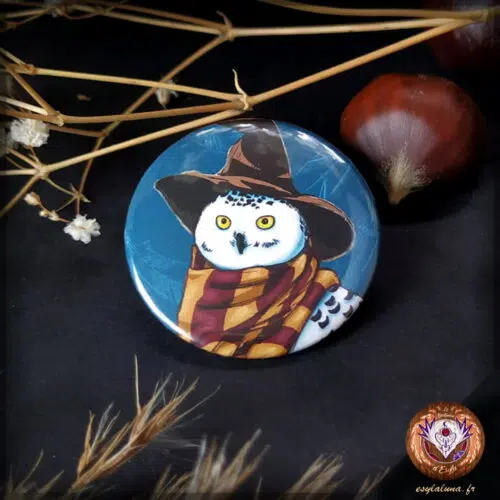 Chouette sorcière Magnets