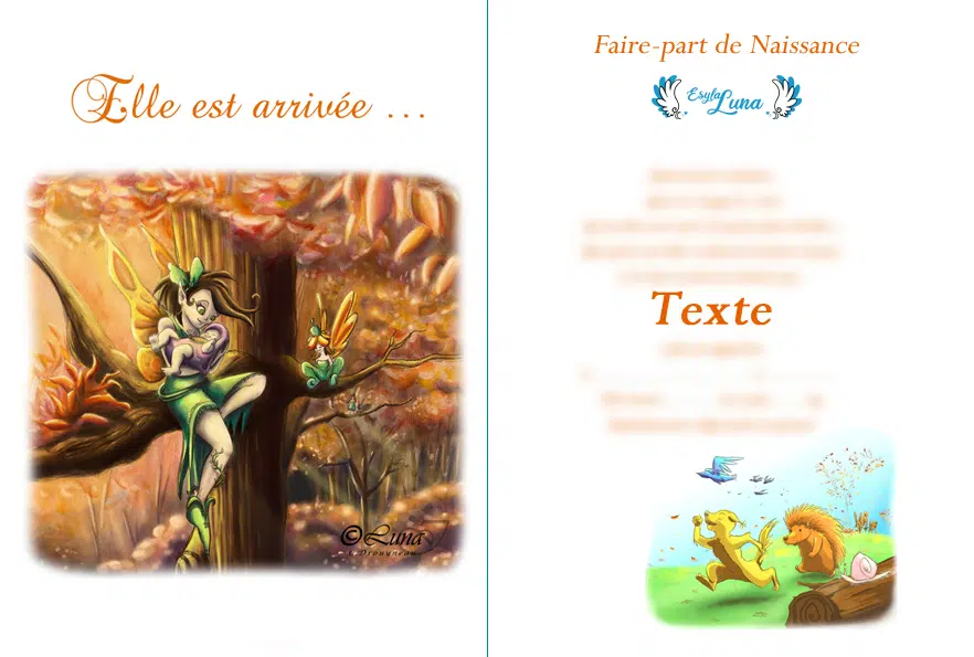 Commande Faire-part de Naissance Fée | Esyla Luna
